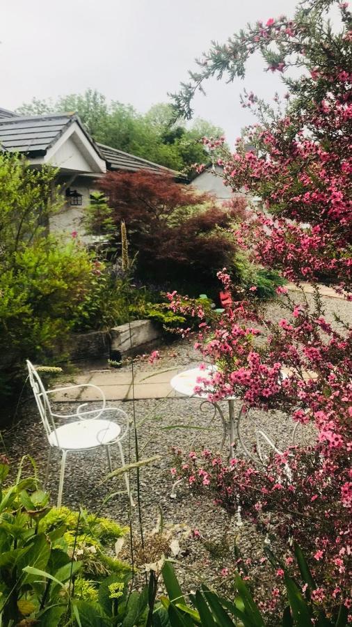 A Selection Of Self Catering Holiday Homes At Kilcloon Cottages 메이누스 외부 사진