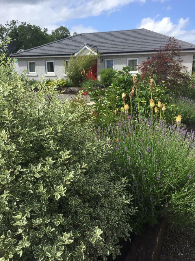 A Selection Of Self Catering Holiday Homes At Kilcloon Cottages 메이누스 외부 사진